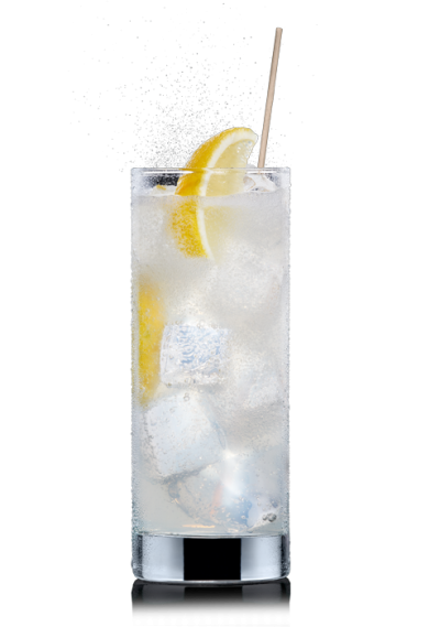 Gin&Tonic 0,25l