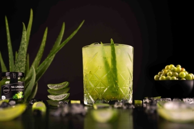 Aloe Vera a Engreš 0,4l